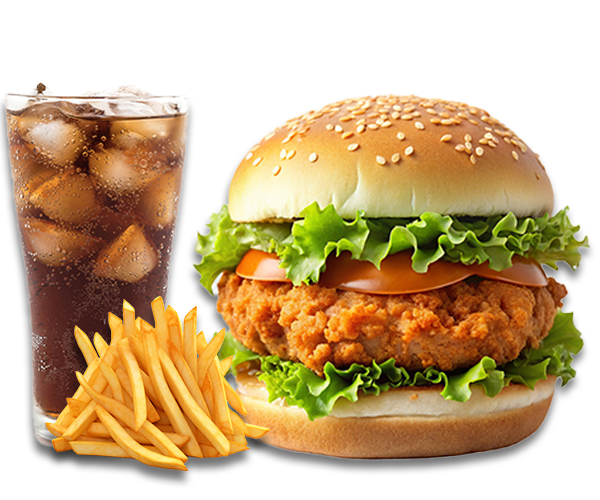 Tavuk Cheeseburger